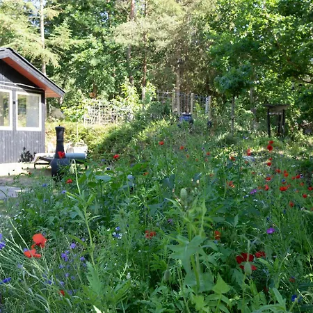 別荘 Idyllic Nature Gem At Als Odde With Activities