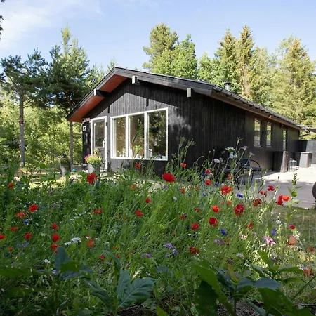 別荘 Idyllic Nature Gem At Als Odde With Activities *