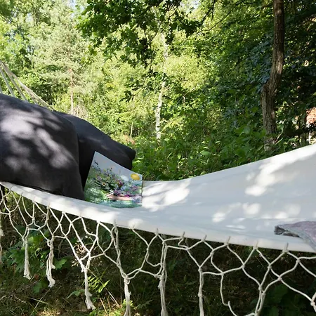別荘 Idyllic Nature Gem At Als Odde With Activities *